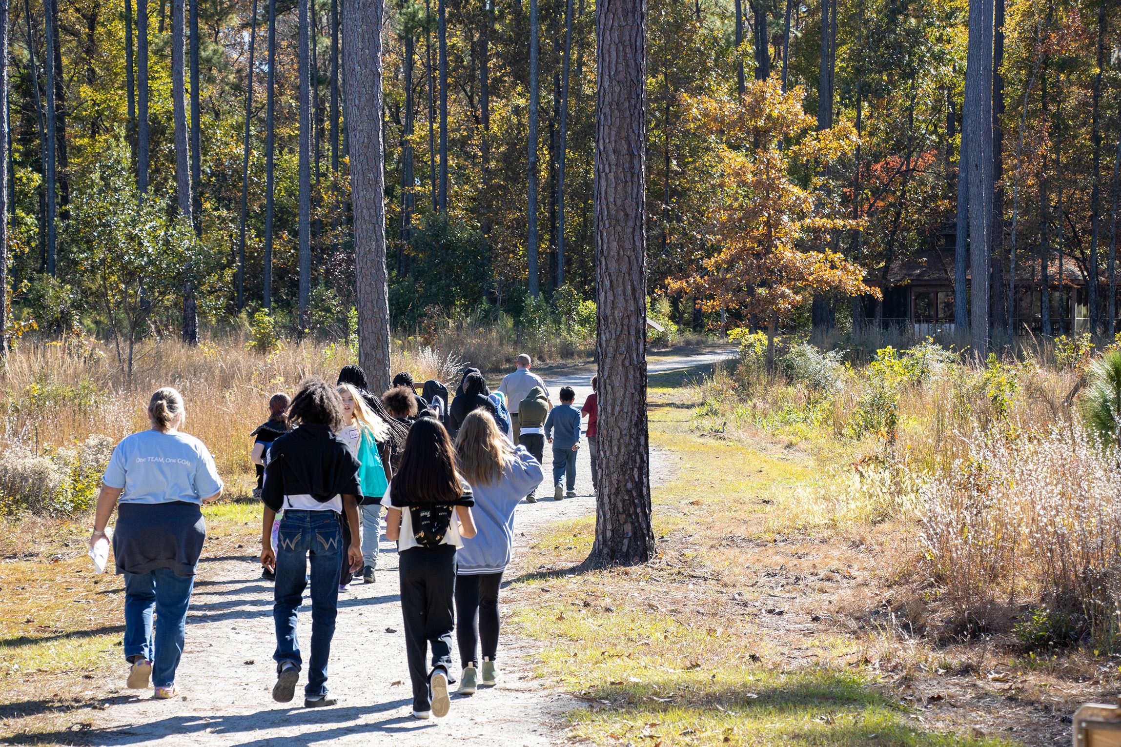 A group of children walking down a hiking trail in a wooded area
