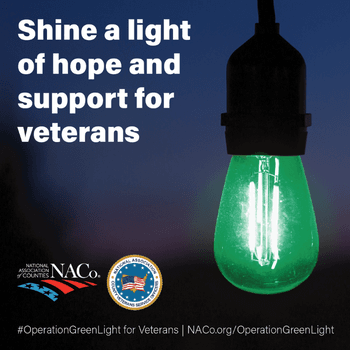 Operation Green Light for Veterans logo